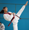 logo Taekwondo.jpg